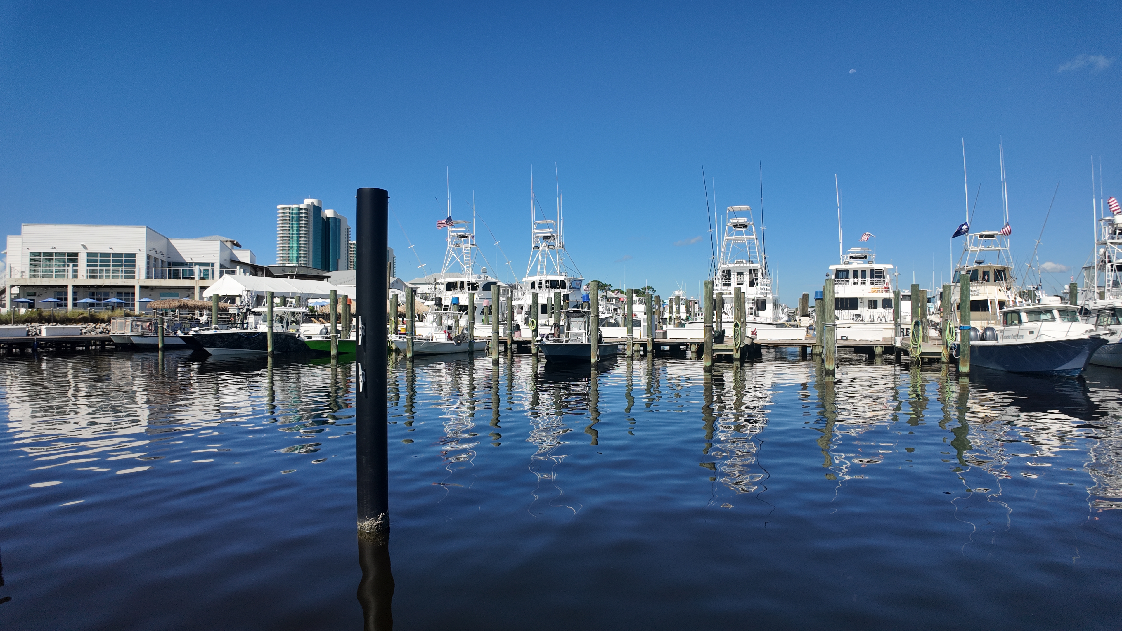 Orange Beach Alabama Sportsfishing Boats Yachts Marina Zekes